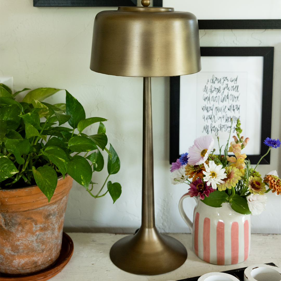 Terrence Lamp