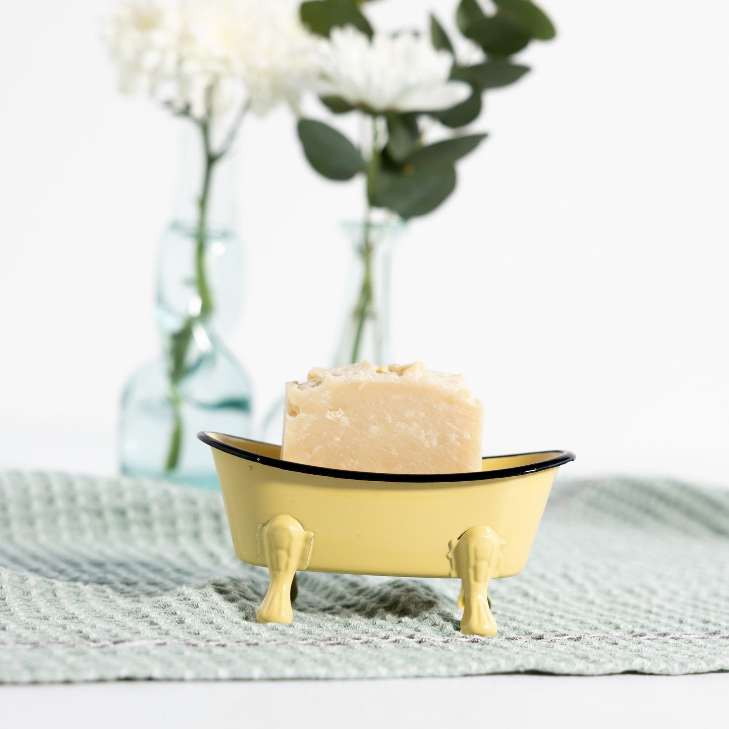 Bathtub Shaped Soap Dish