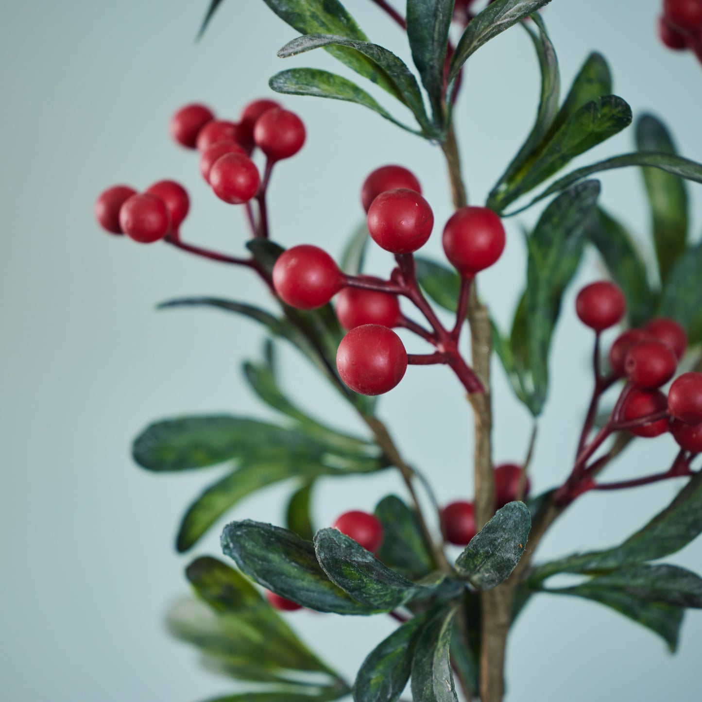 Leaf Branch with Berries
