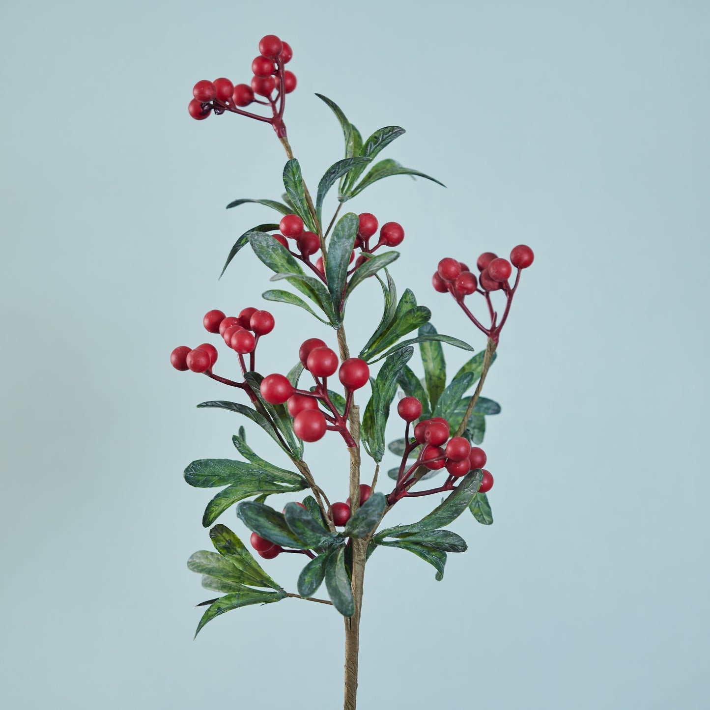 Leaf Branch with Berries