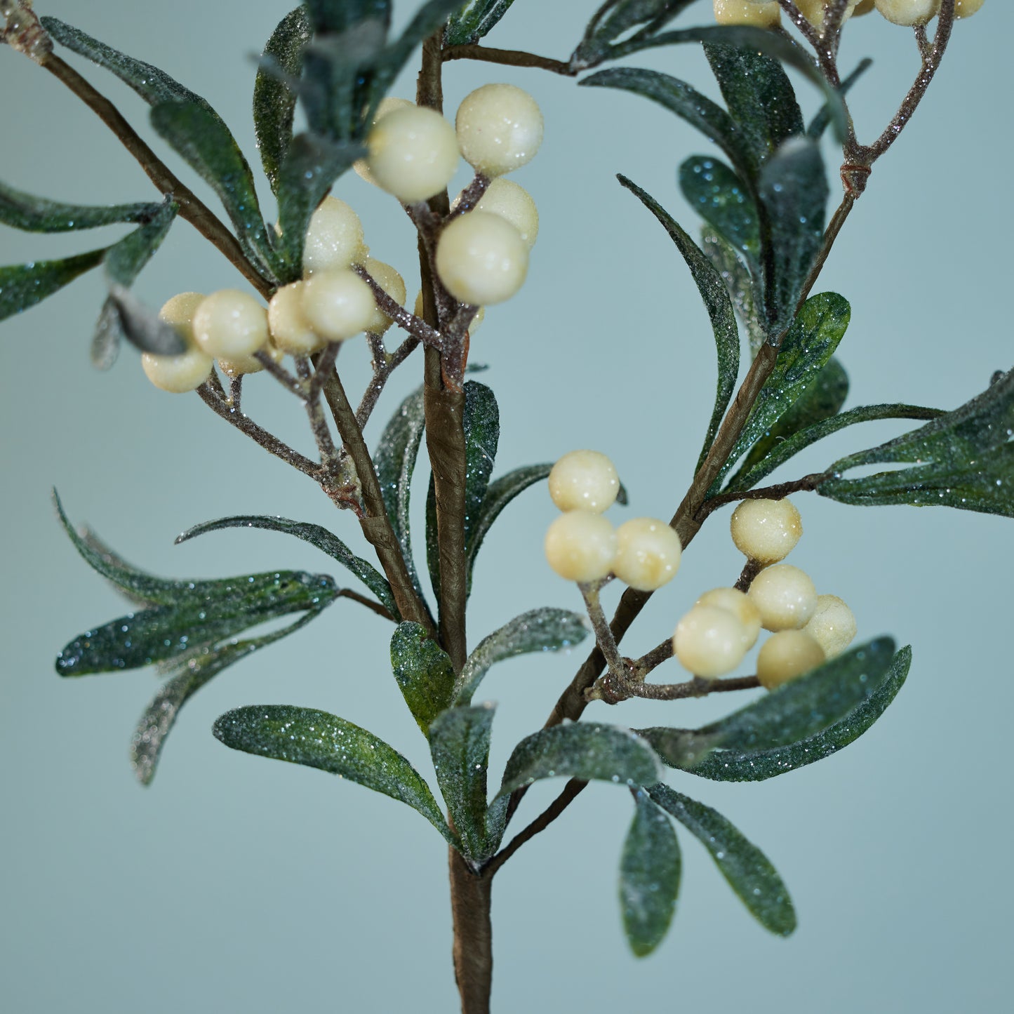 Leaf Branch with Berries