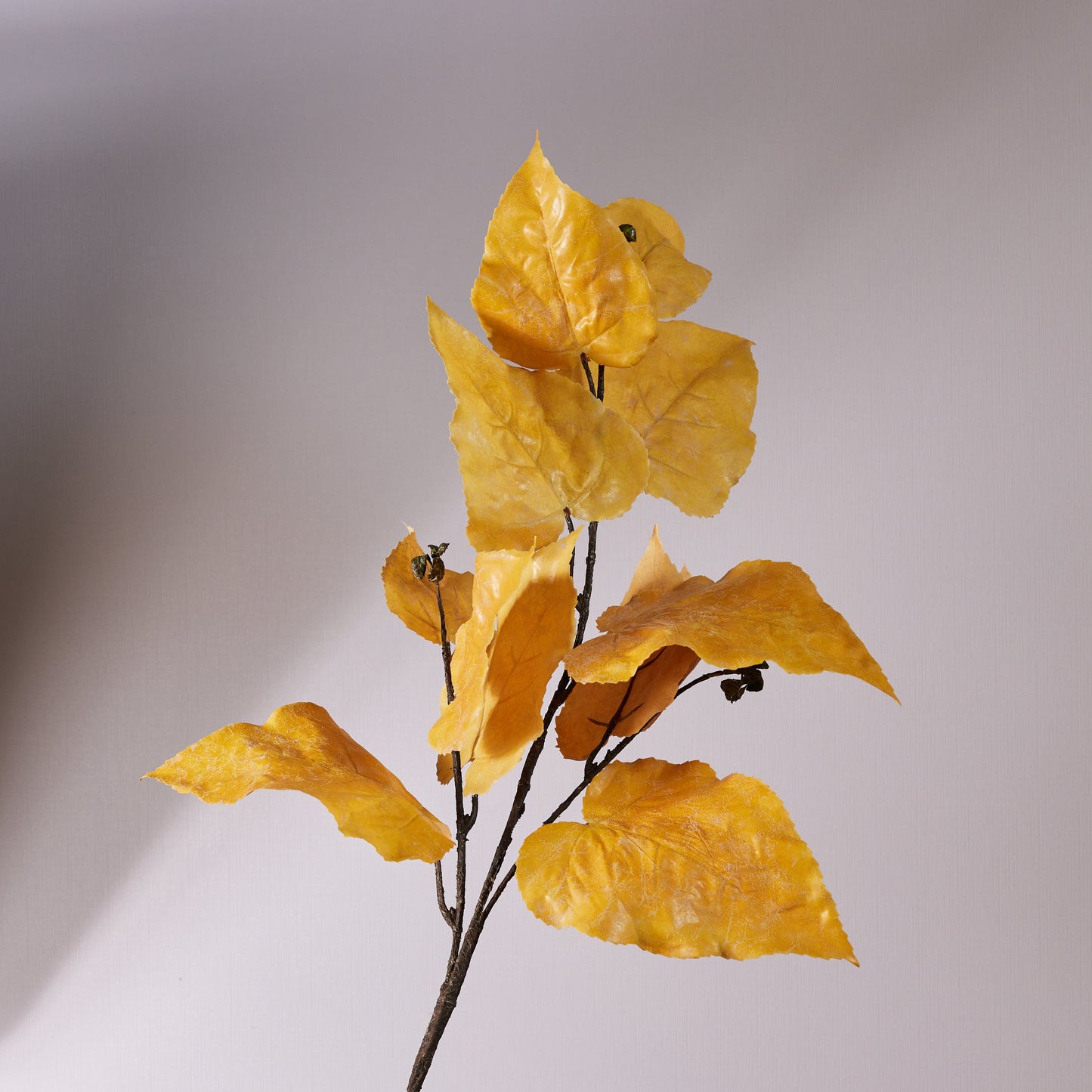 Oak Leaf Stem