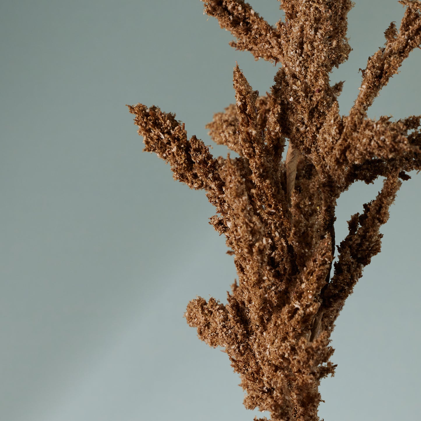 Neutral Seed Spray