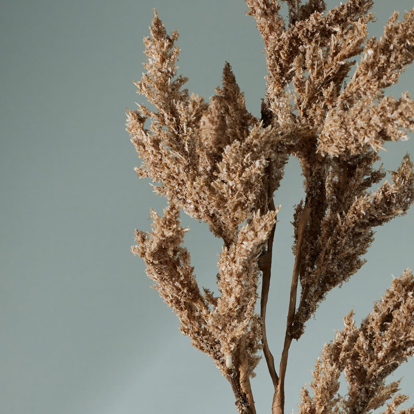 Neutral Seed Spray