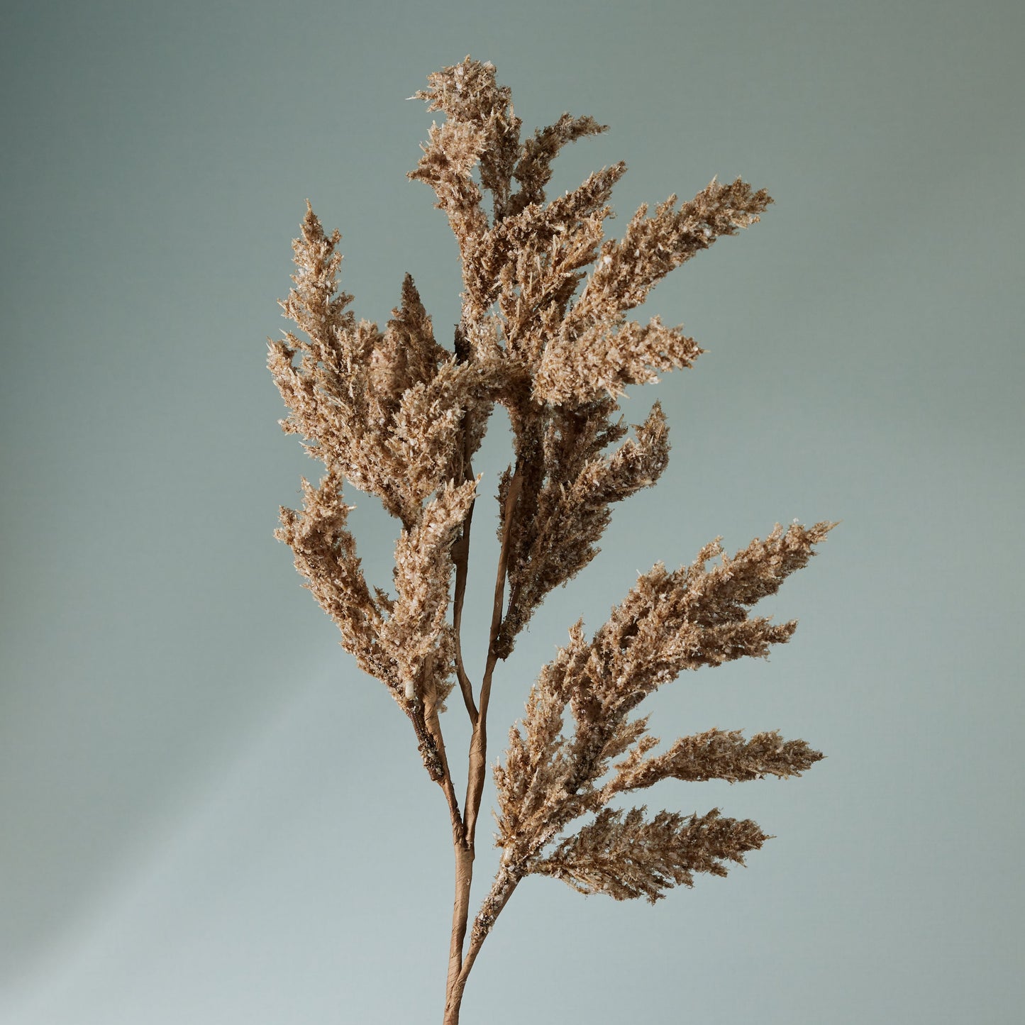 Neutral Seed Spray