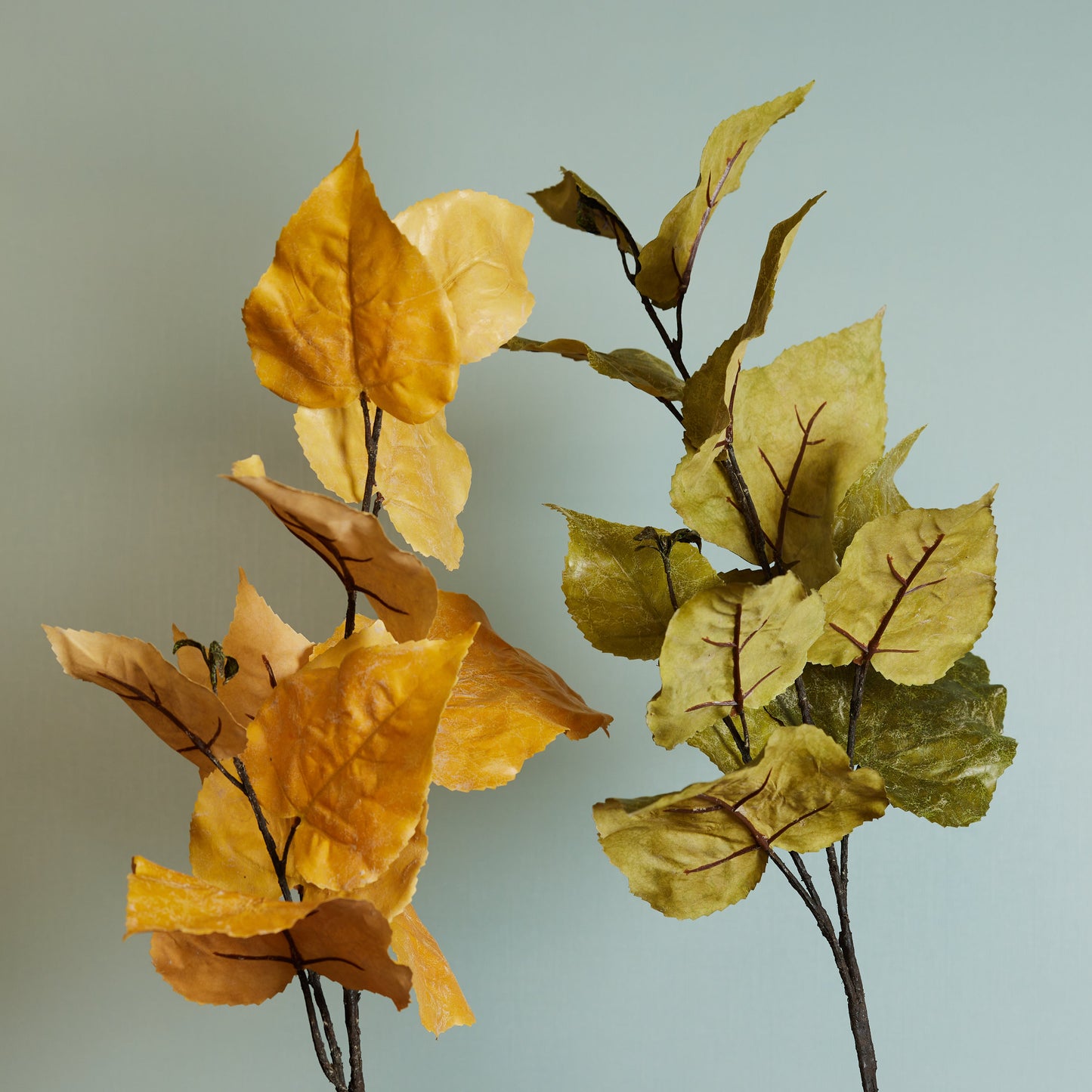 Oak Leaf Stem