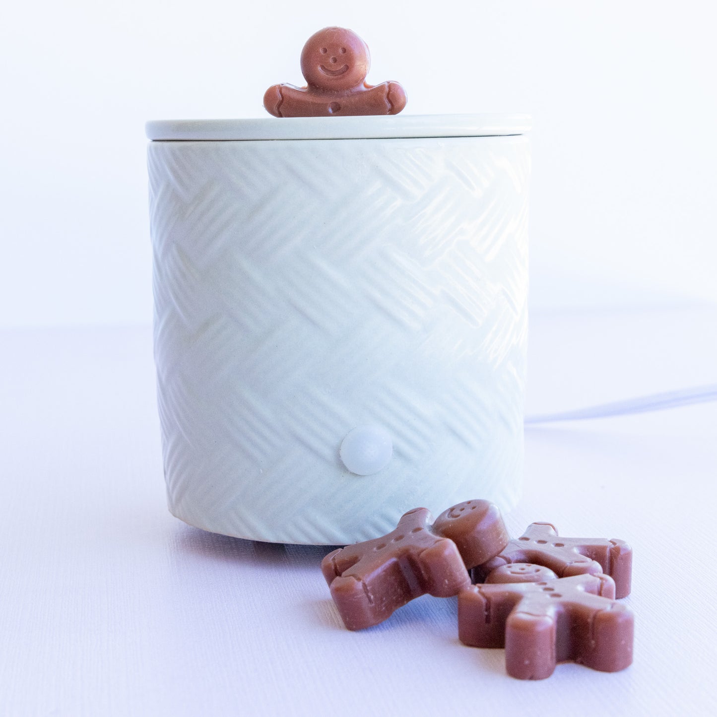 Gingerbread Scent Melt Mini's