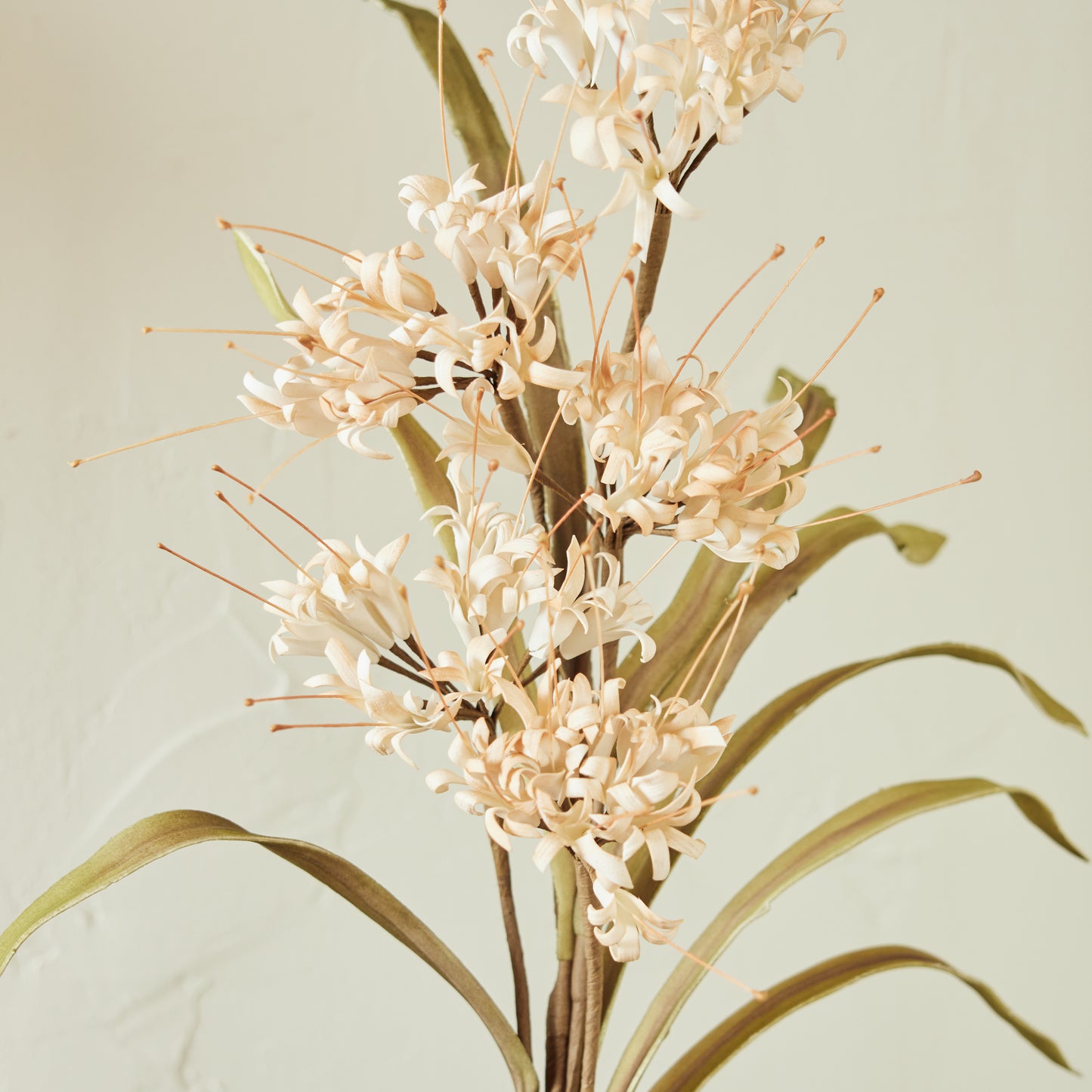 Cream Botanical Stem