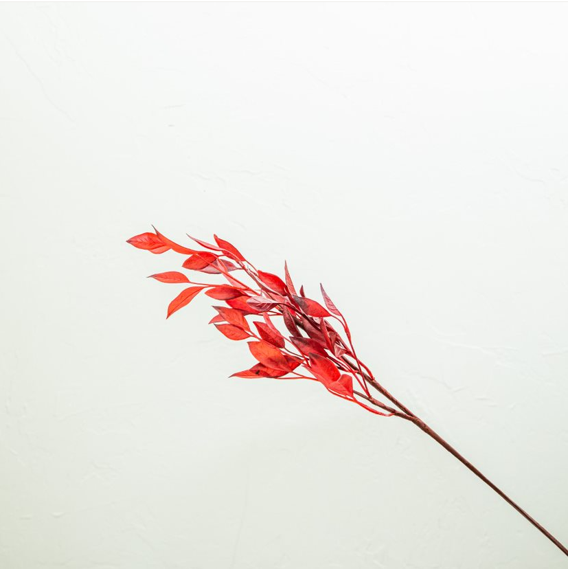 Crimson Bay Leaf Branch