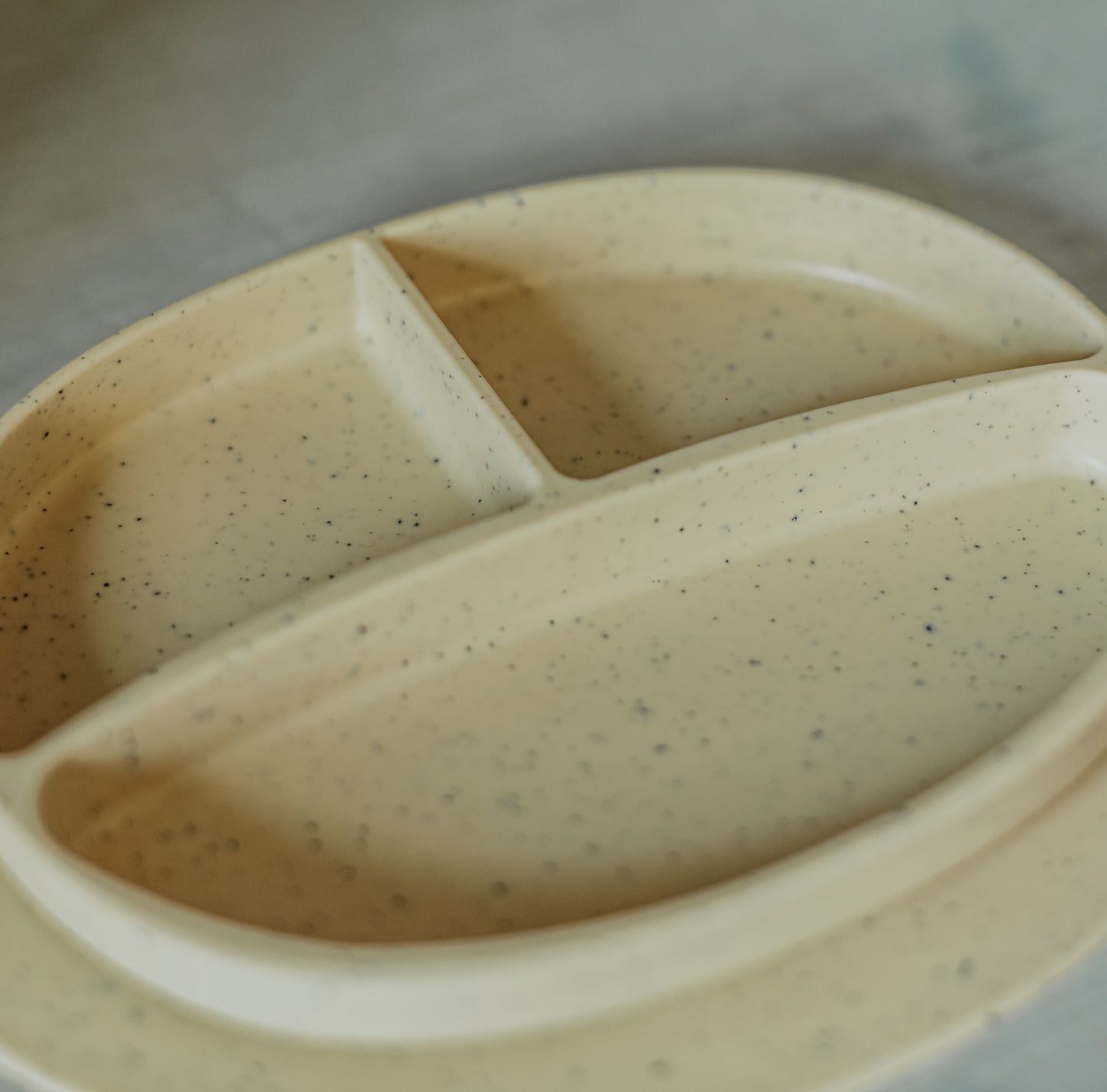Suction Plate