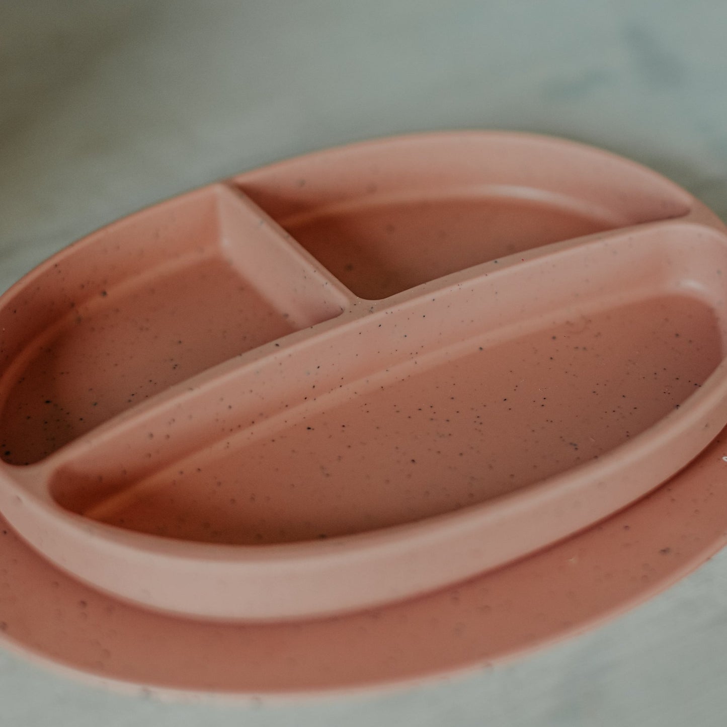 Suction Plate