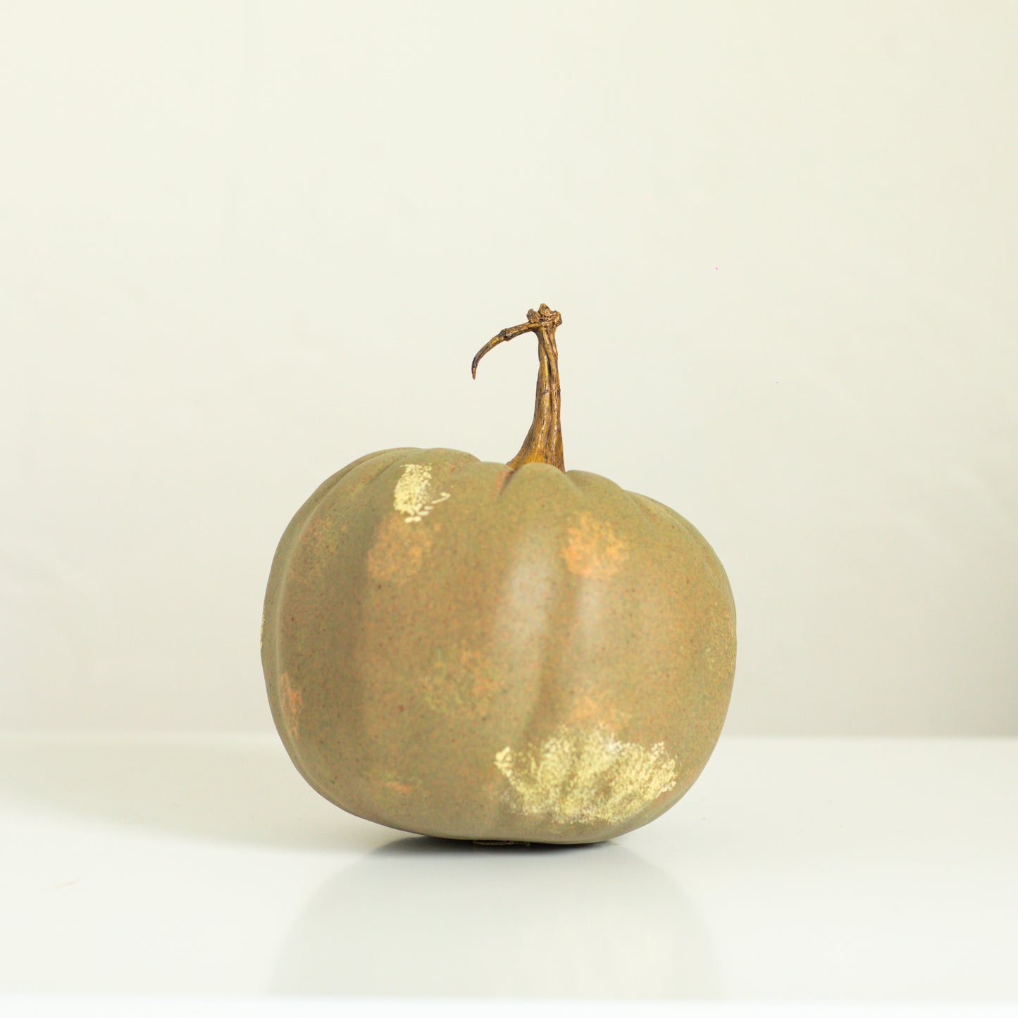 Green Heirloom Pumpkin, 6 Sizes