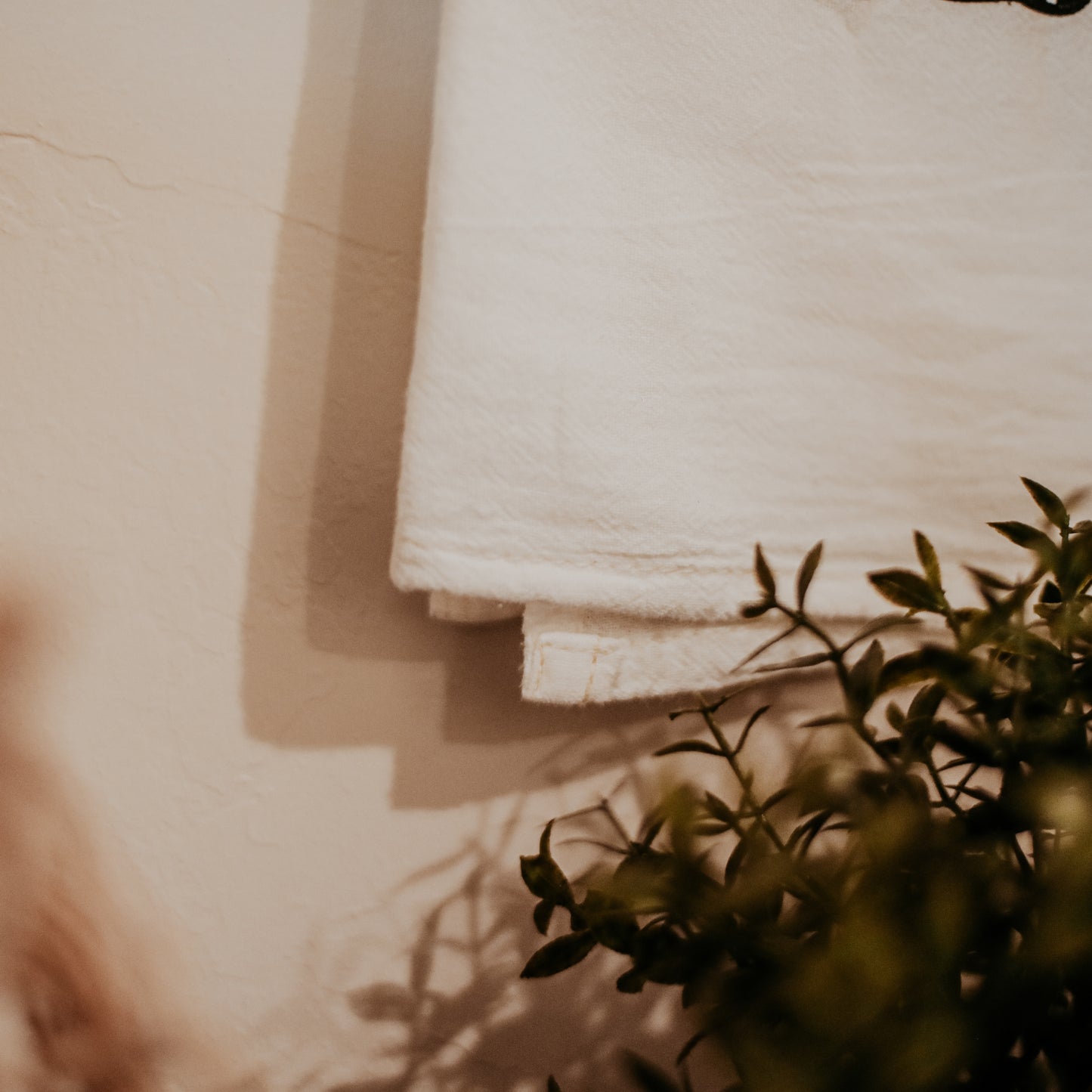 Kitchen Towels