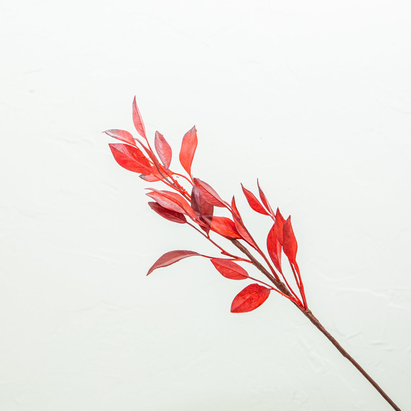 Crimson Bay Leaf Spray