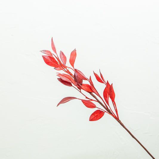 Crimson Bay Leaf Spray