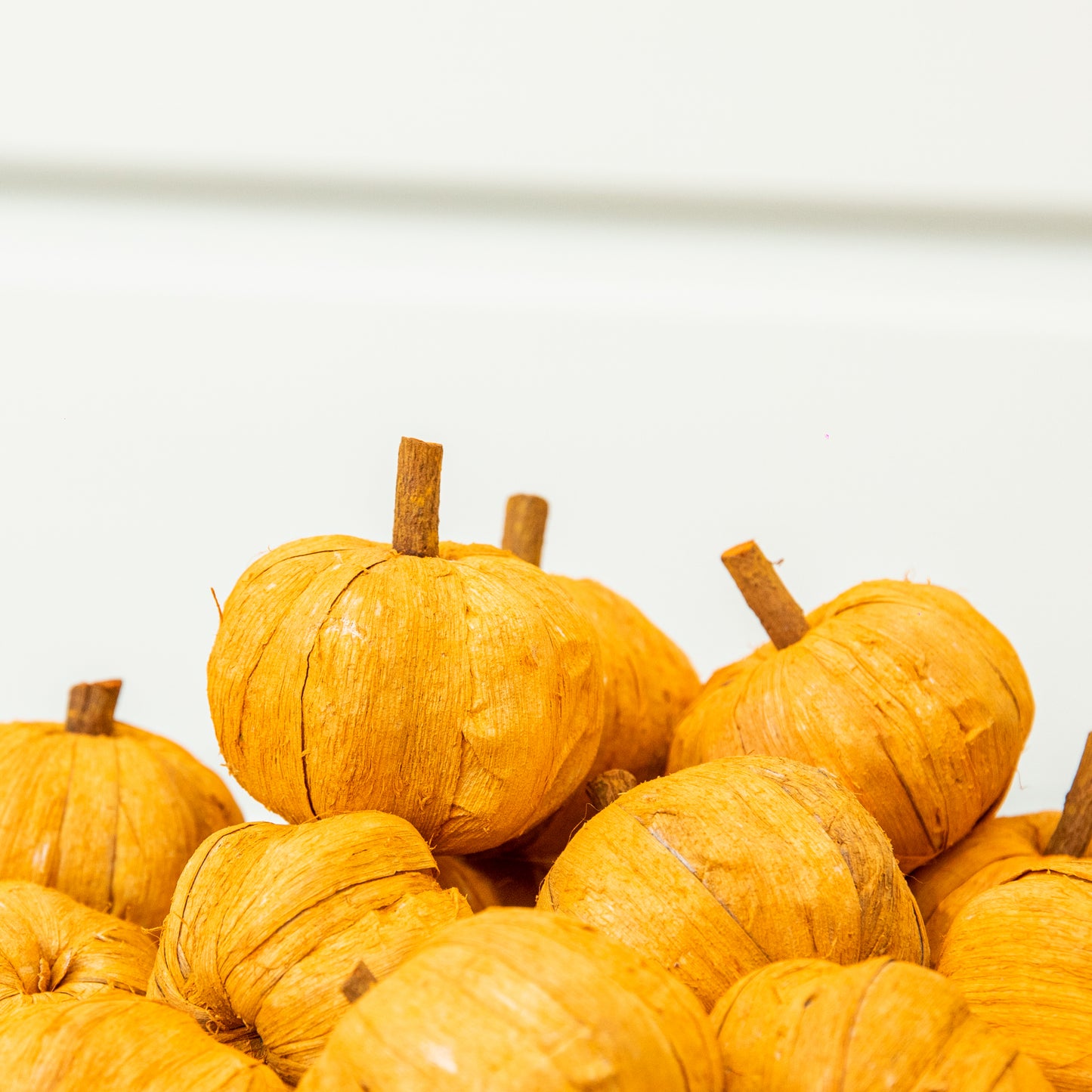 Dried Orange Mini Pumpkins