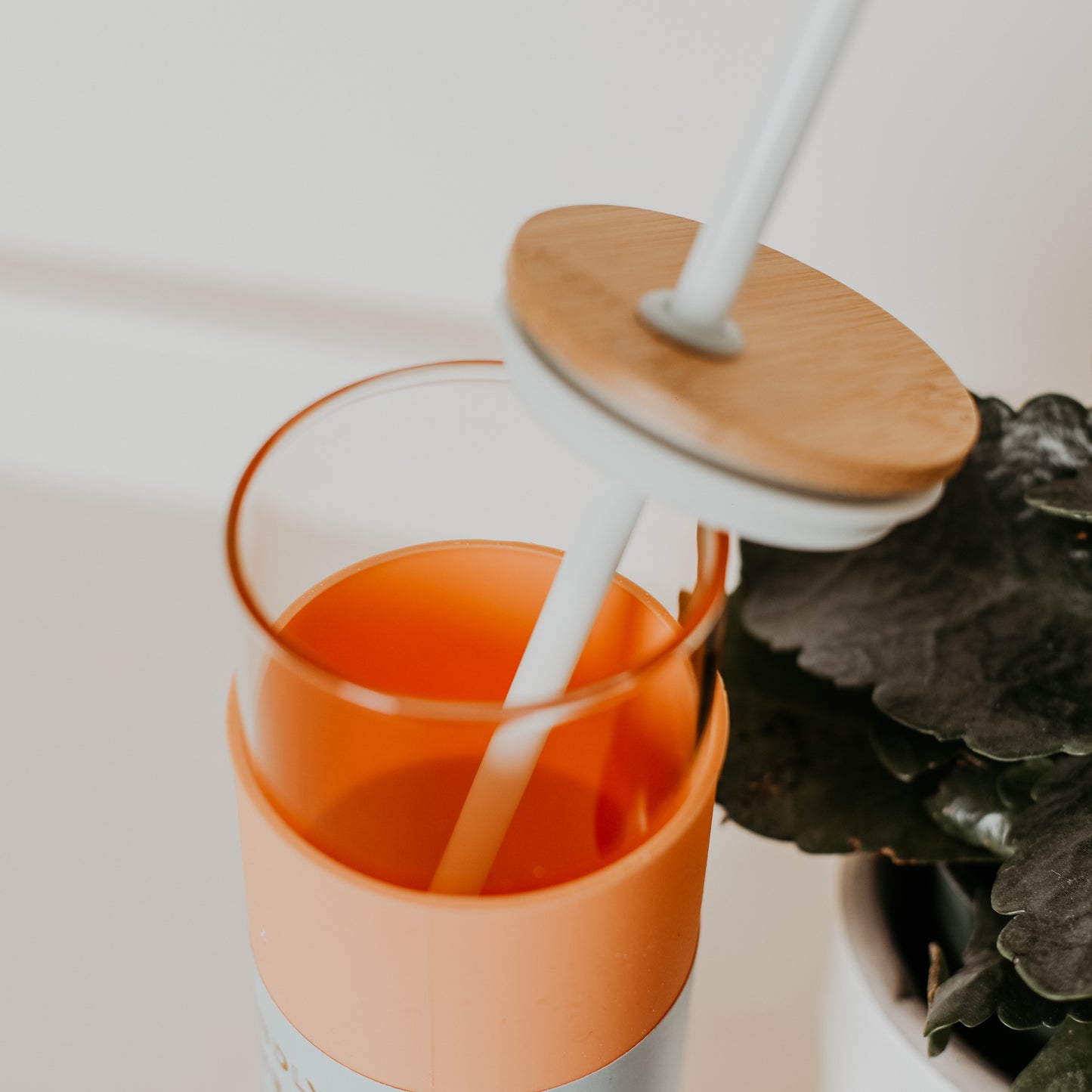 Tumbler with Straw
