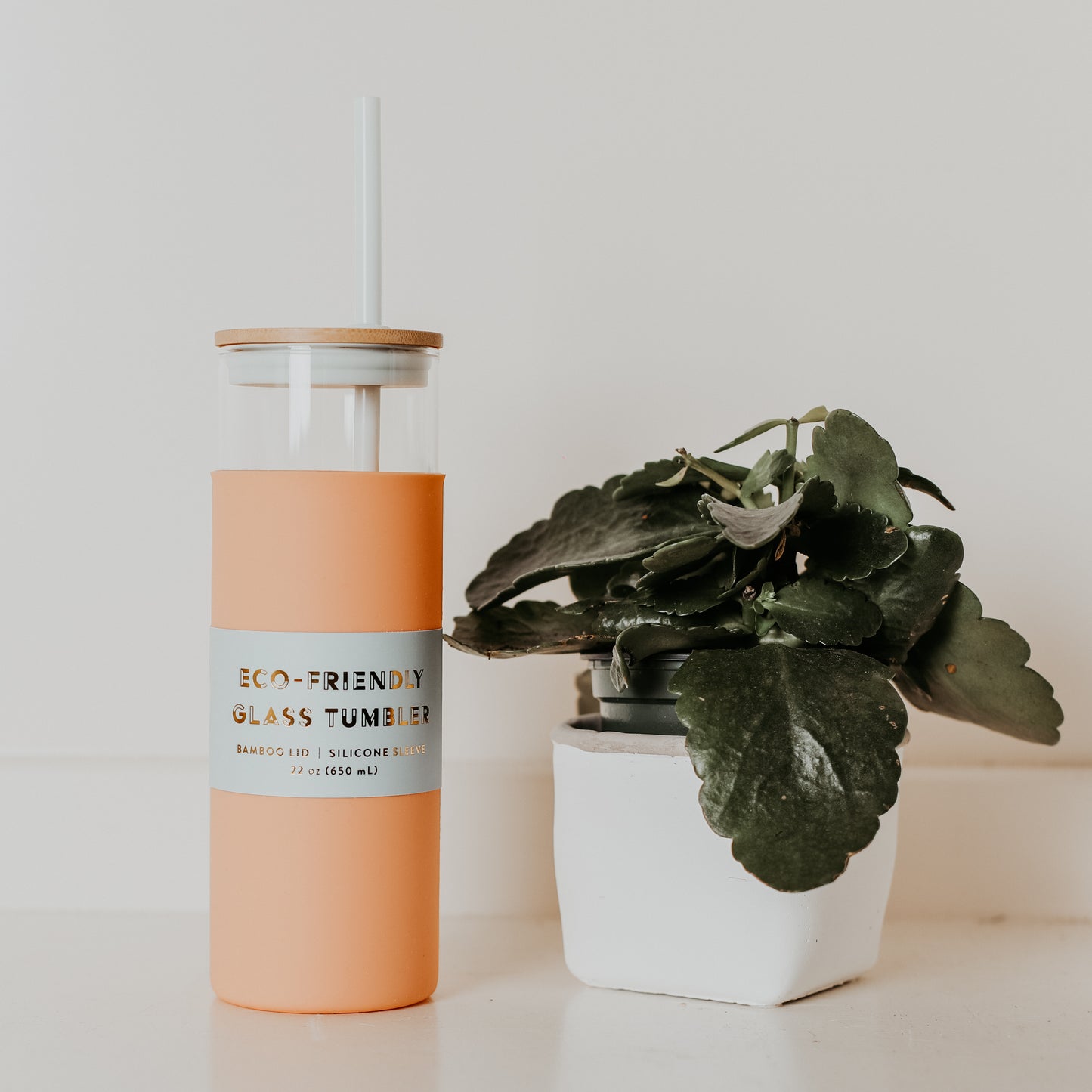 Tumbler with Straw
