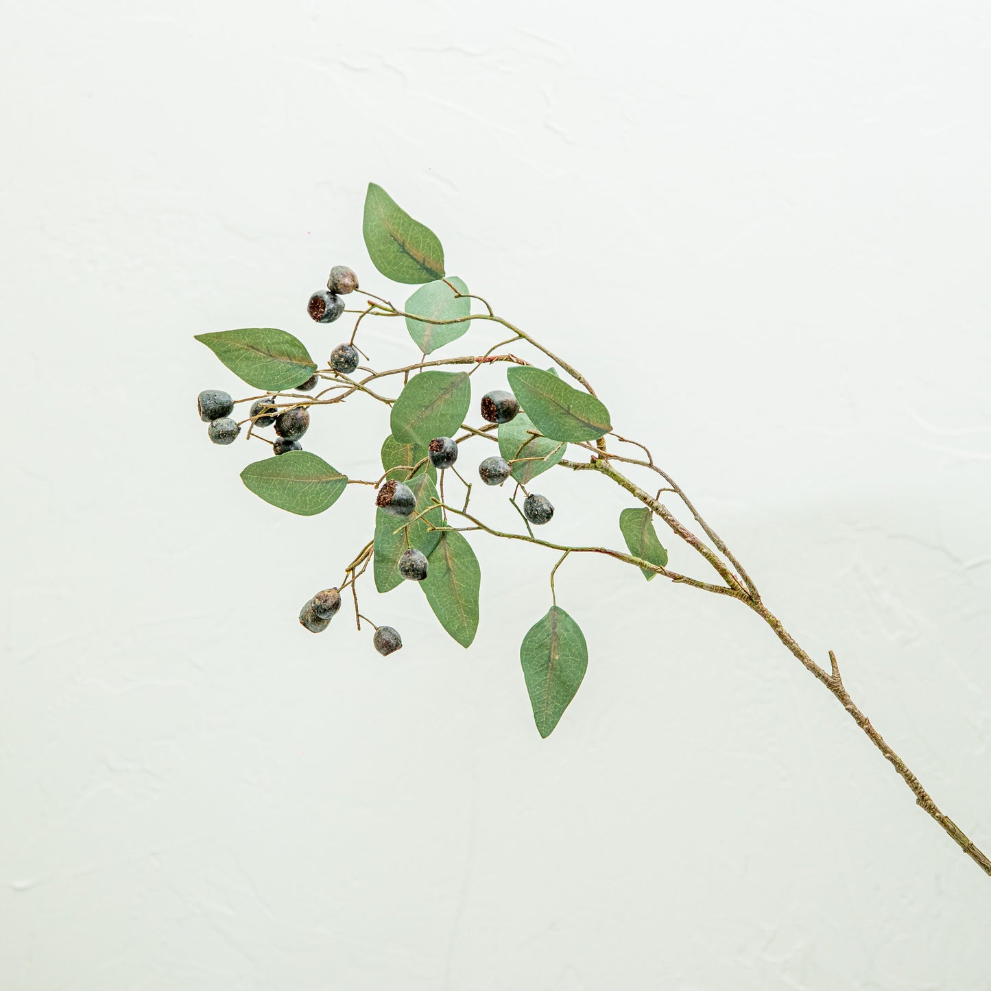Eucalyptus Spray with Berries