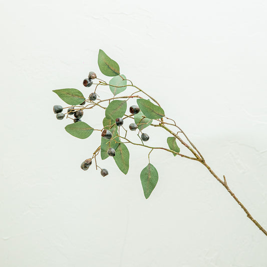 Eucalyptus Spray with Berries