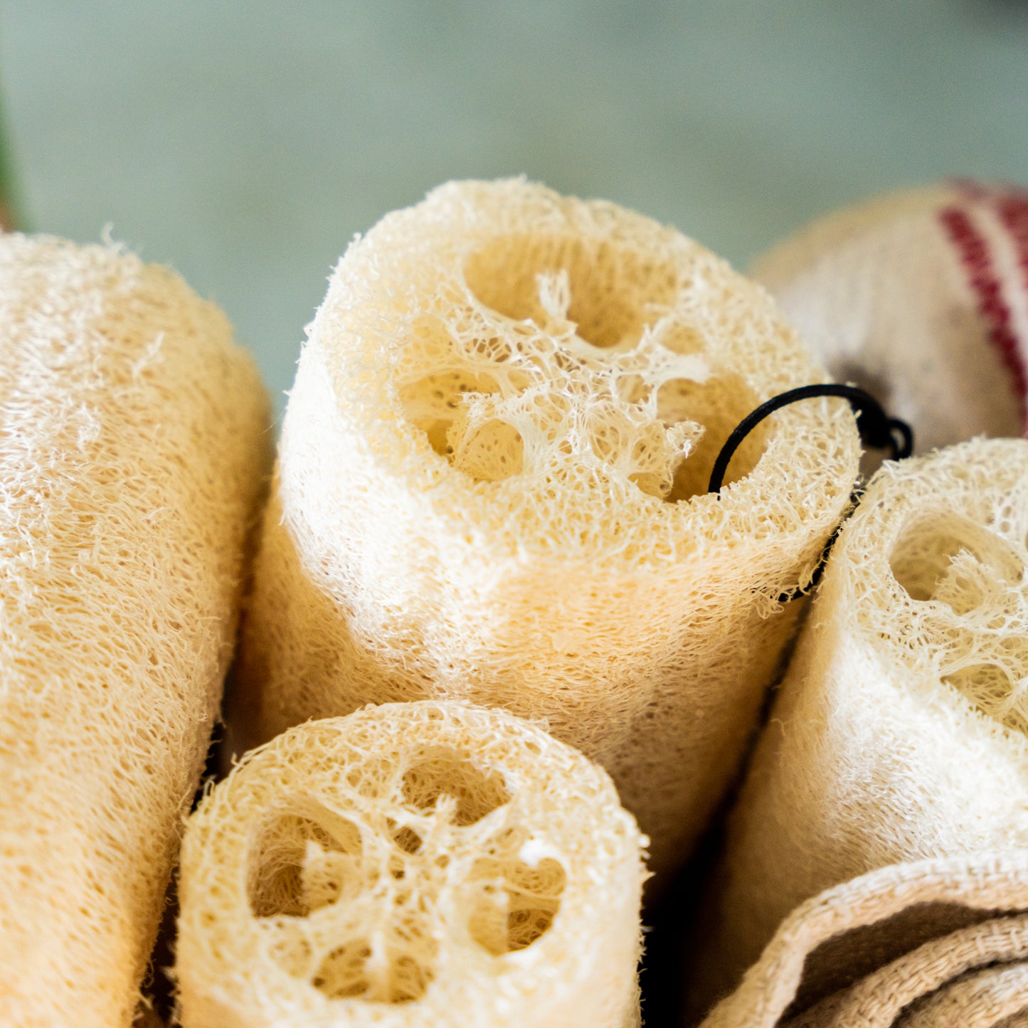 Exfoliating Loofah