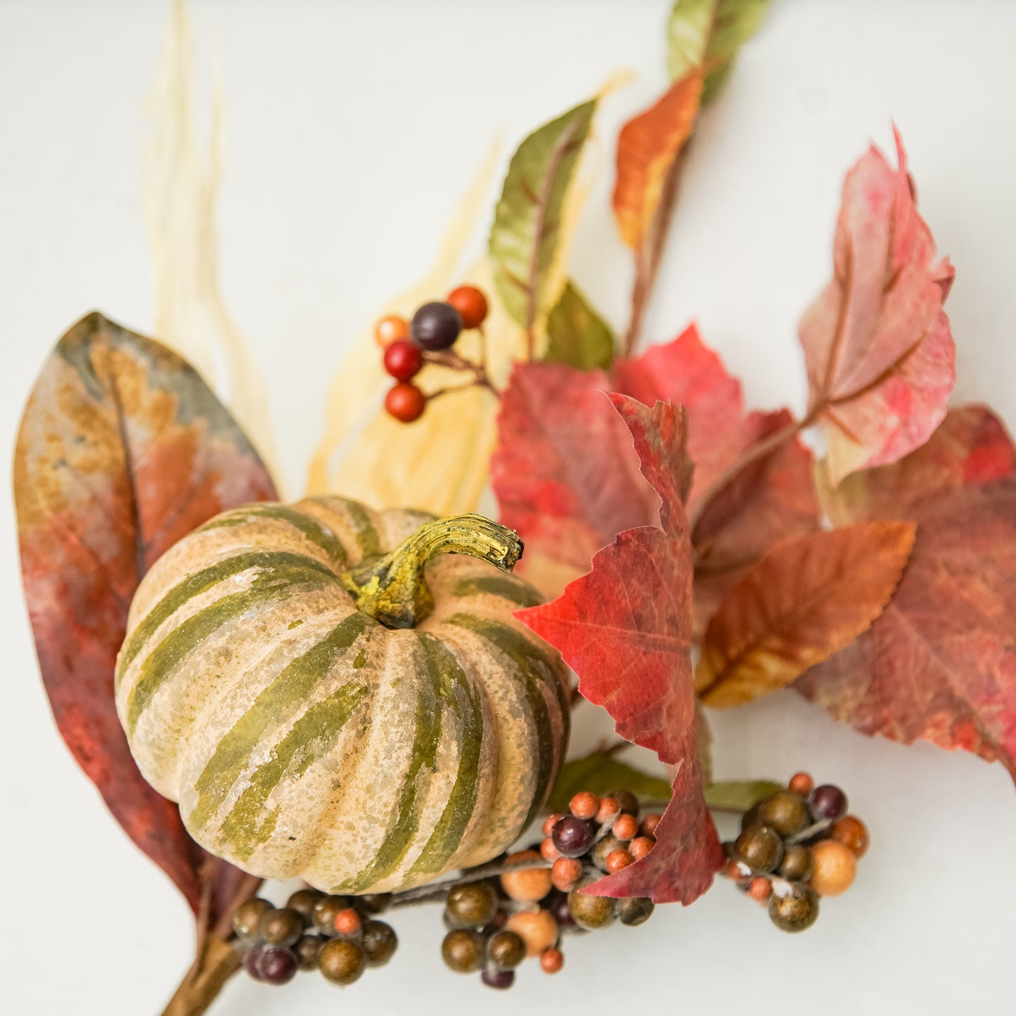 Autumn Pick