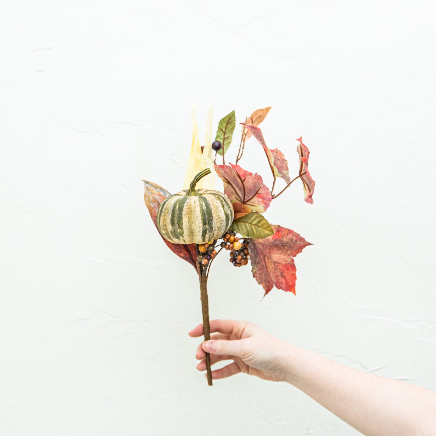 Autumn Pick