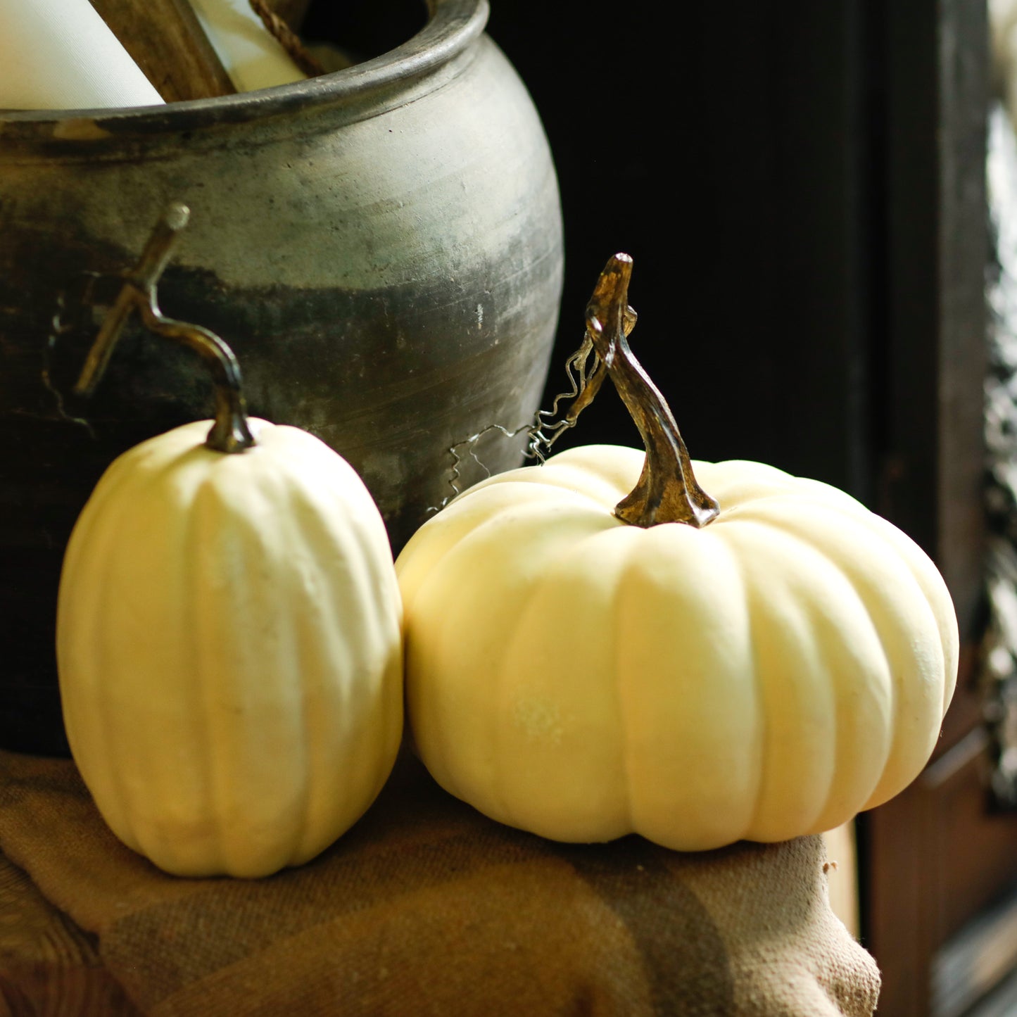Full Moon Pumpkin, 5 Sizes