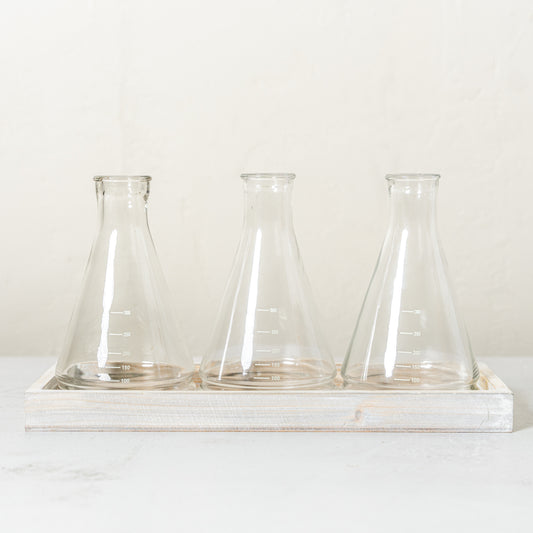 Glass Beaker Vase Trio