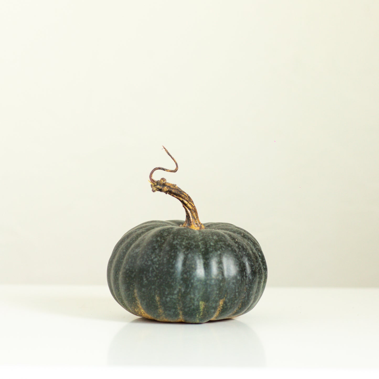 Green Heirloom Pumpkin, 6 Sizes