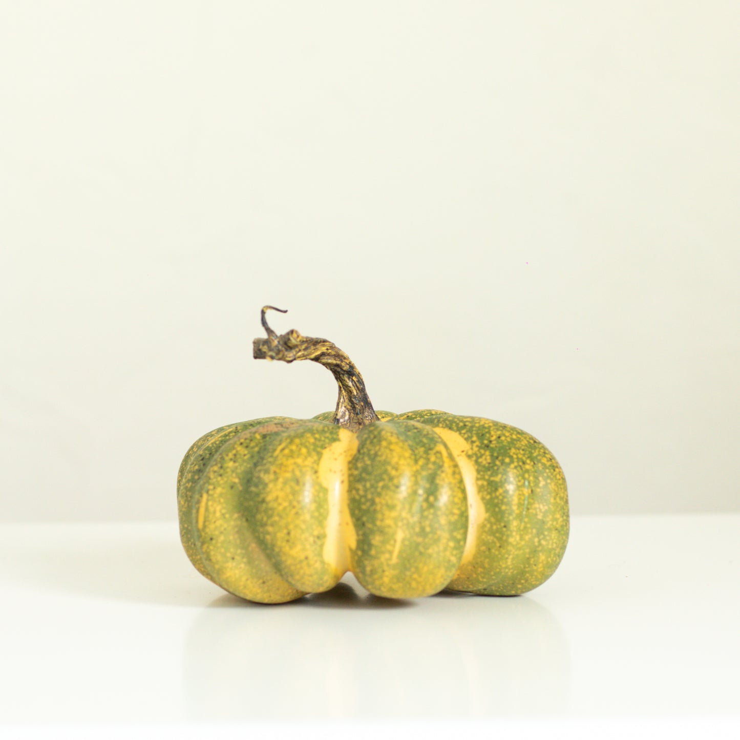 Green Heirloom Pumpkin, 6 Sizes