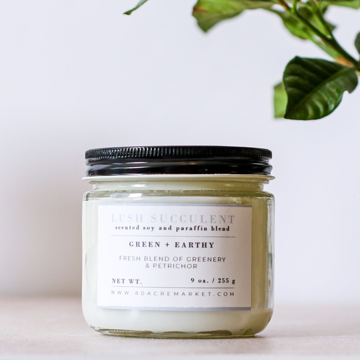 Lush Succulent Candle