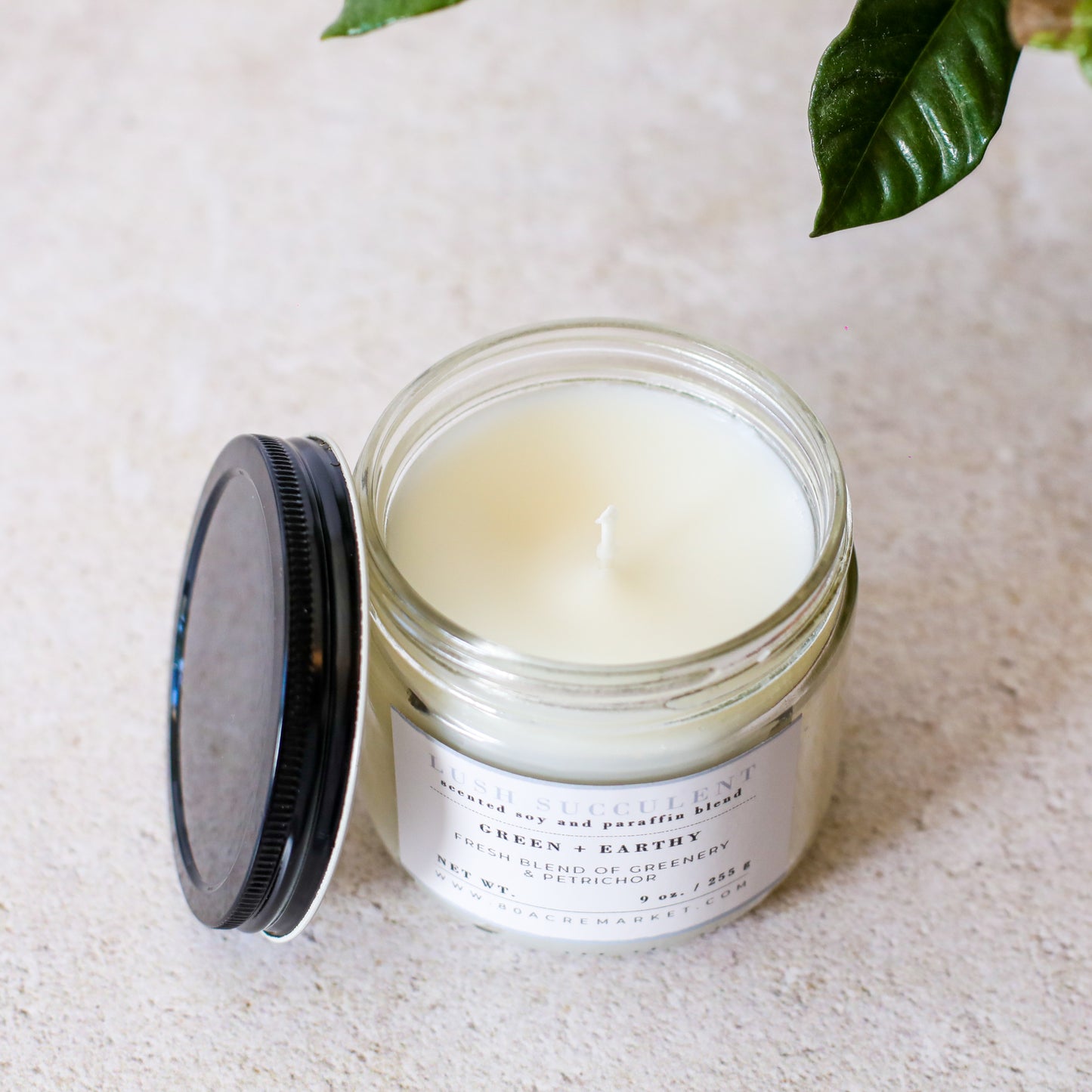 Lush Succulent Candle