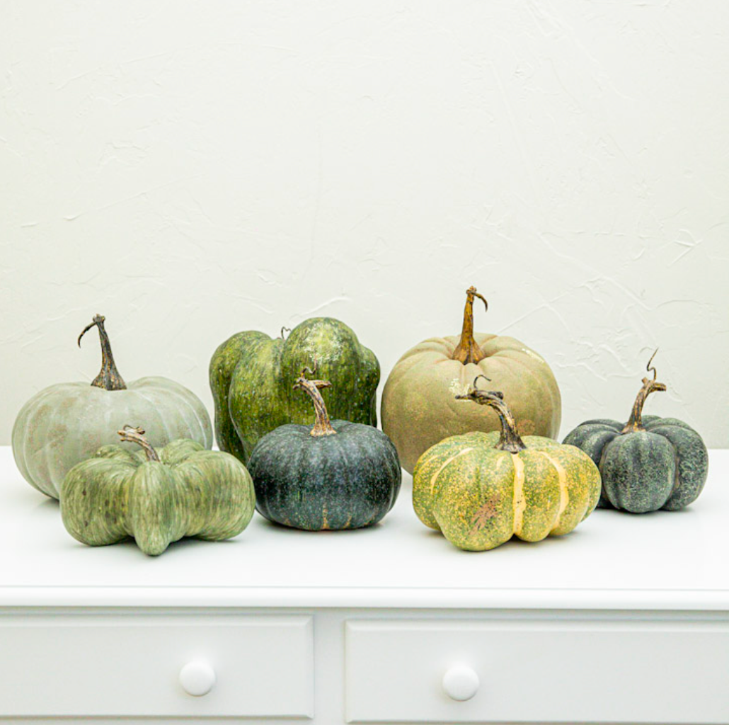 Green Heirloom Pumpkin, 6 Sizes