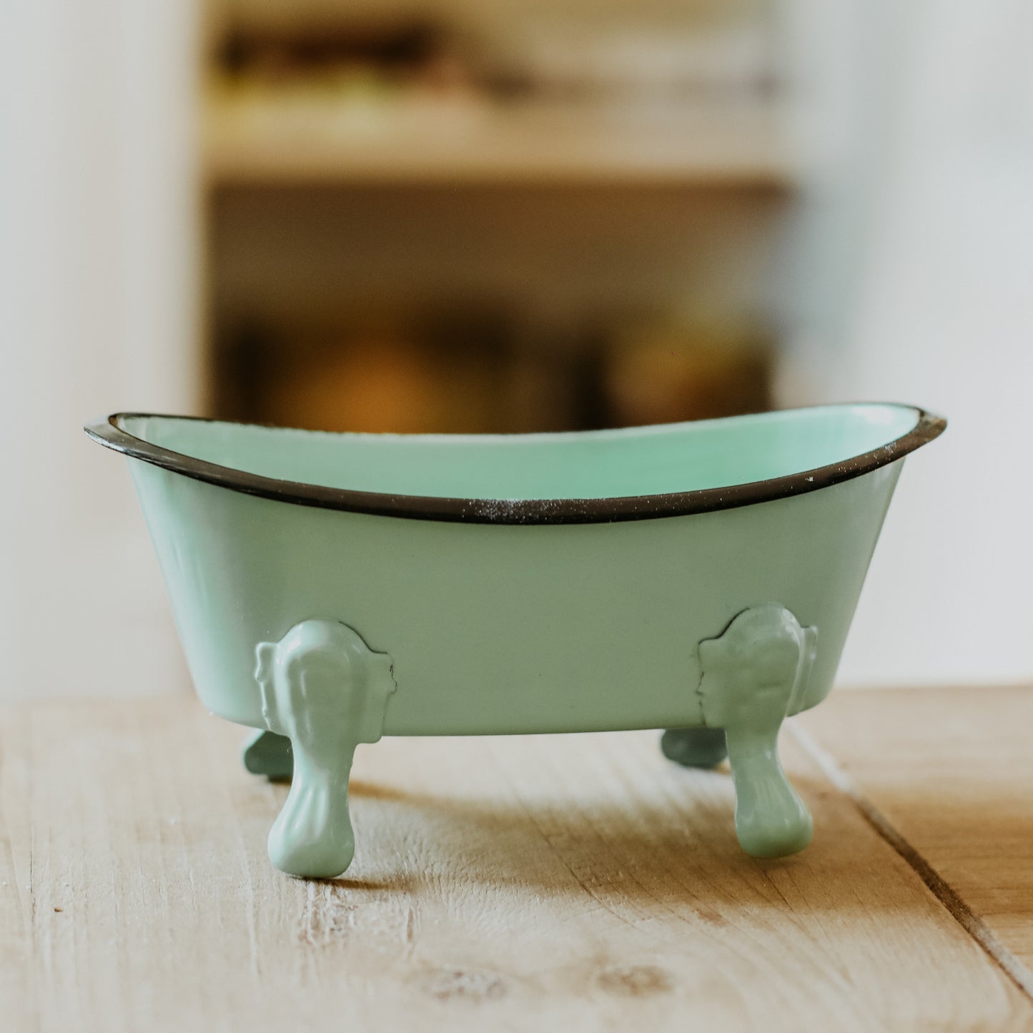 Bathtub Shaped Soap Dish