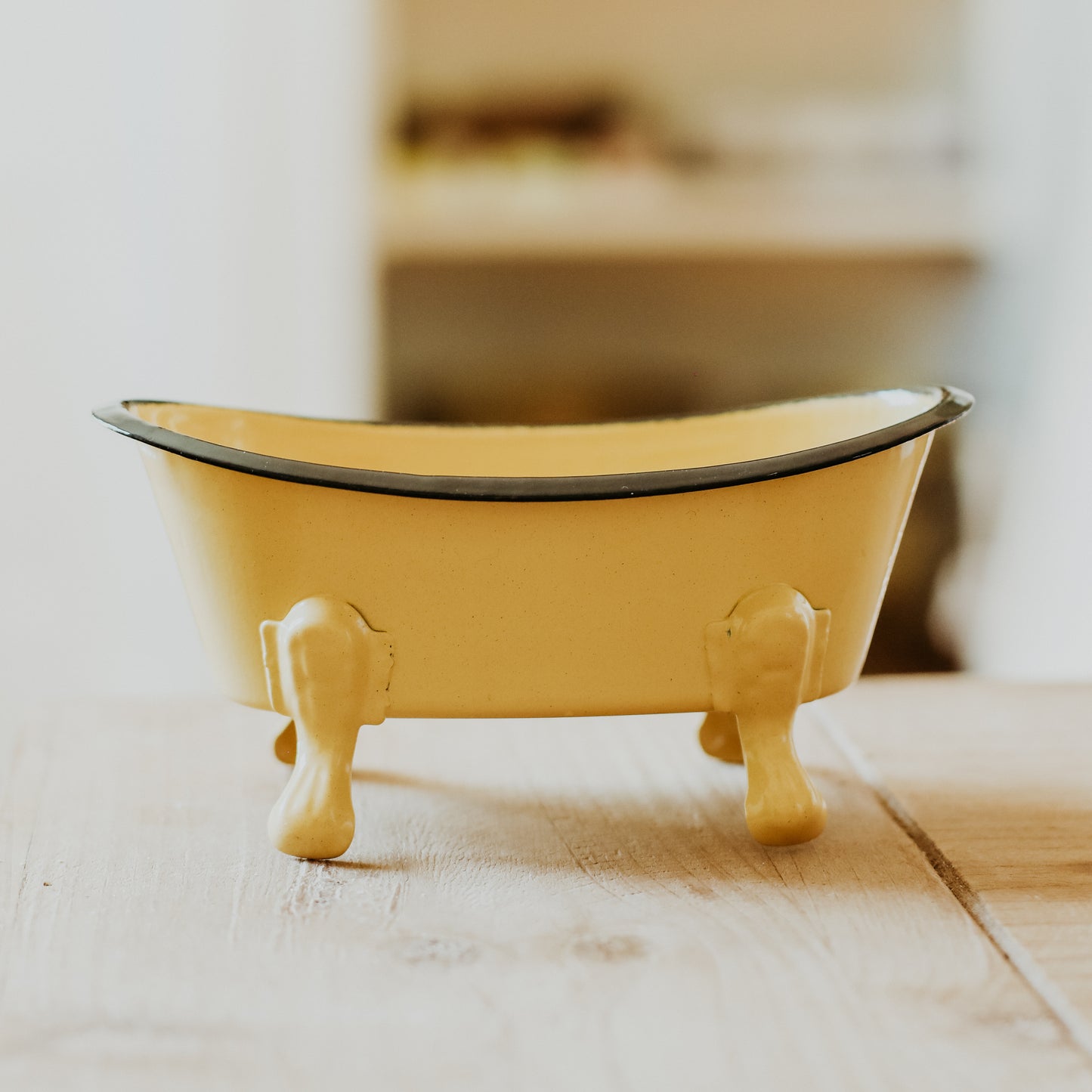 Bathtub Shaped Soap Dish