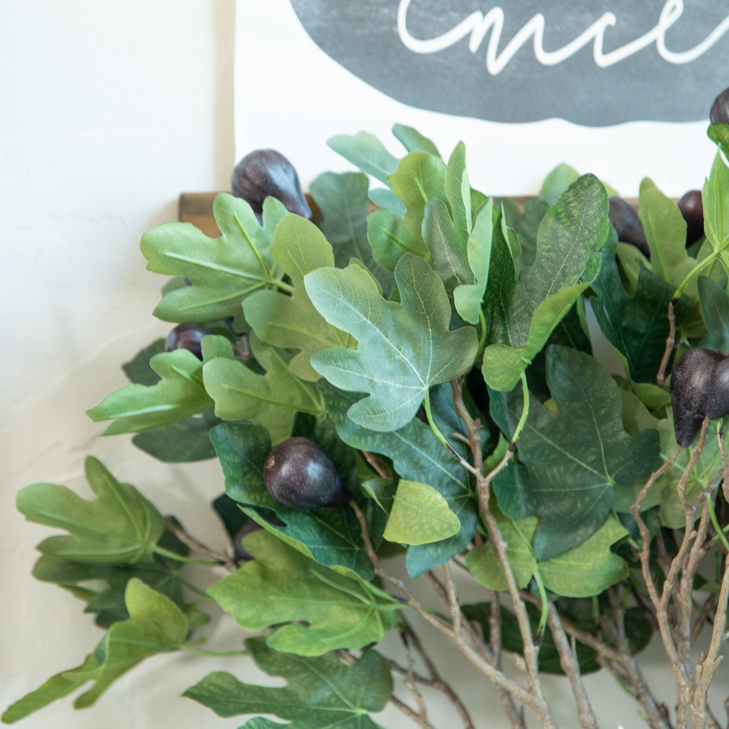 Mission Fig Branch