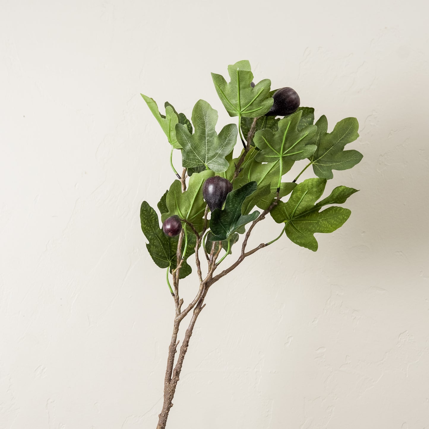 Mission Fig Branch