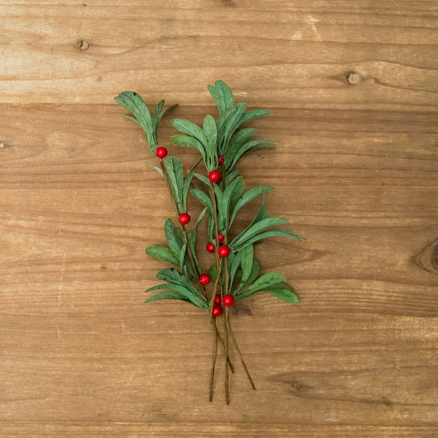 Mistletoe Spray
