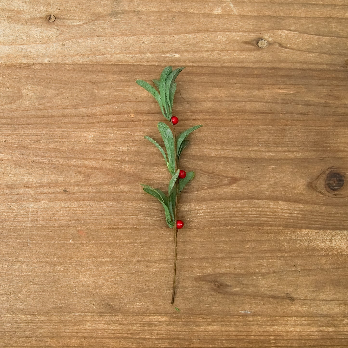 Mistletoe Spray