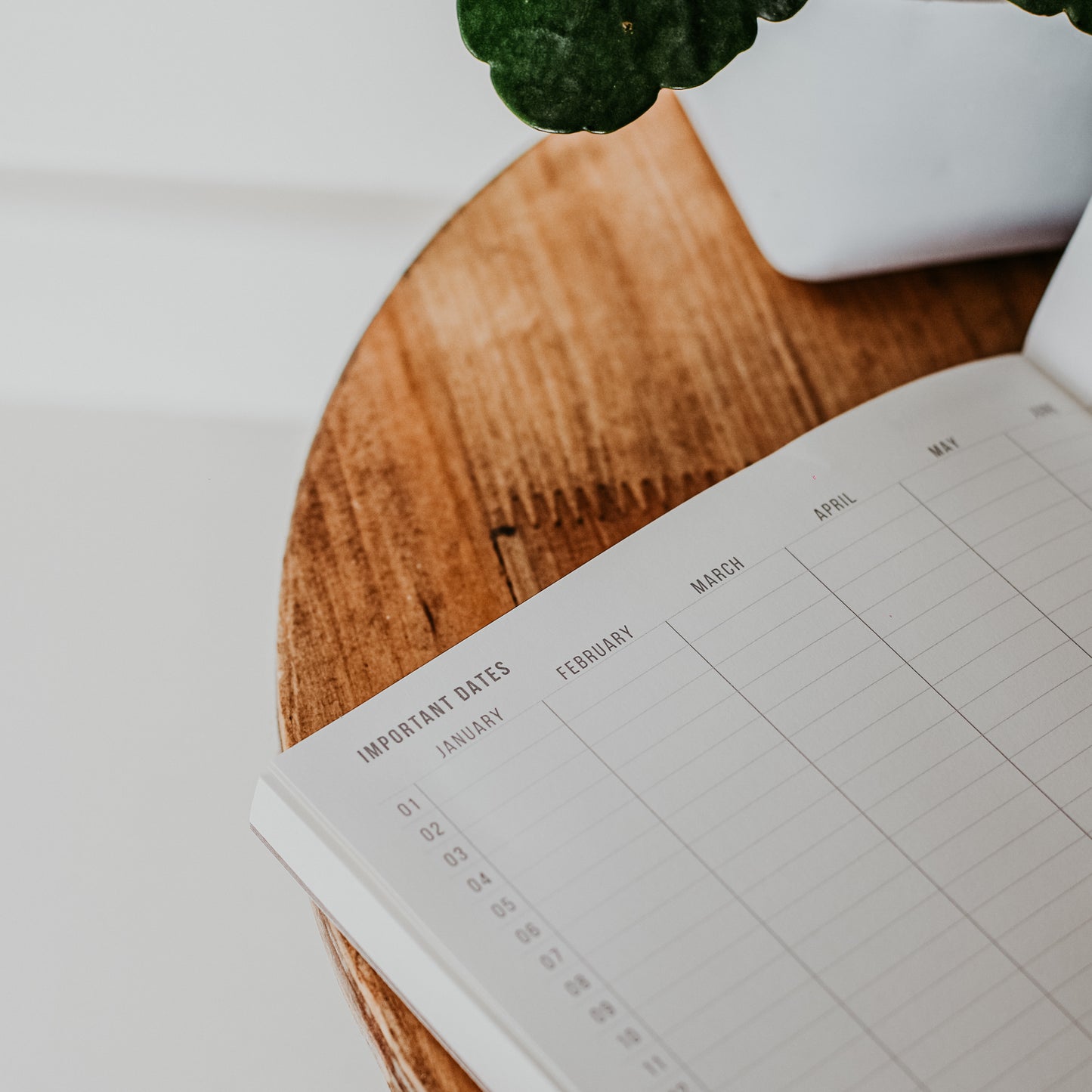 Standard Issue Notebook Planner