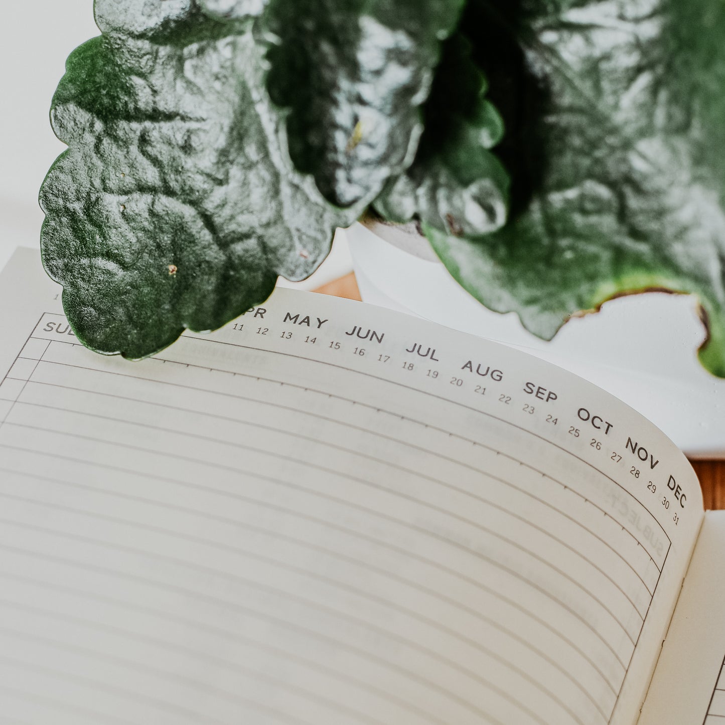 Standard Issue Notebook Planner