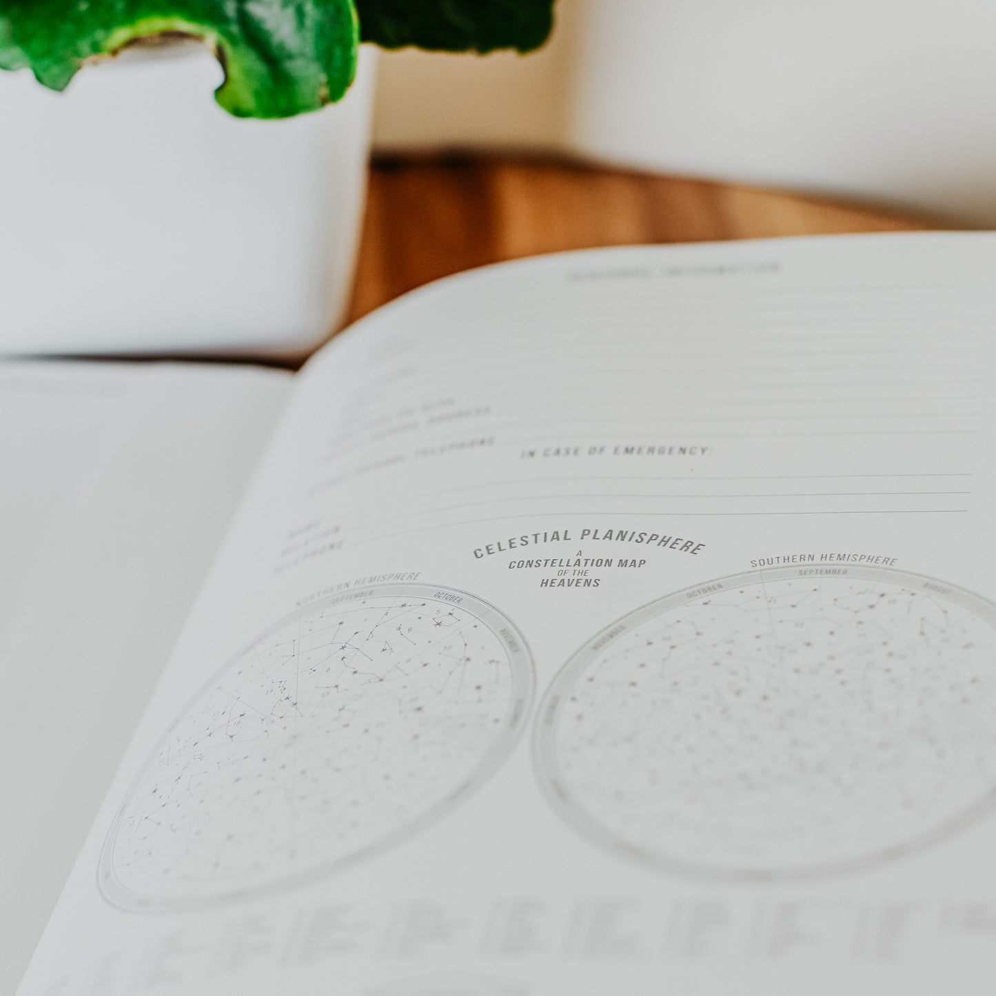 Standard Issue Notebook Planner
