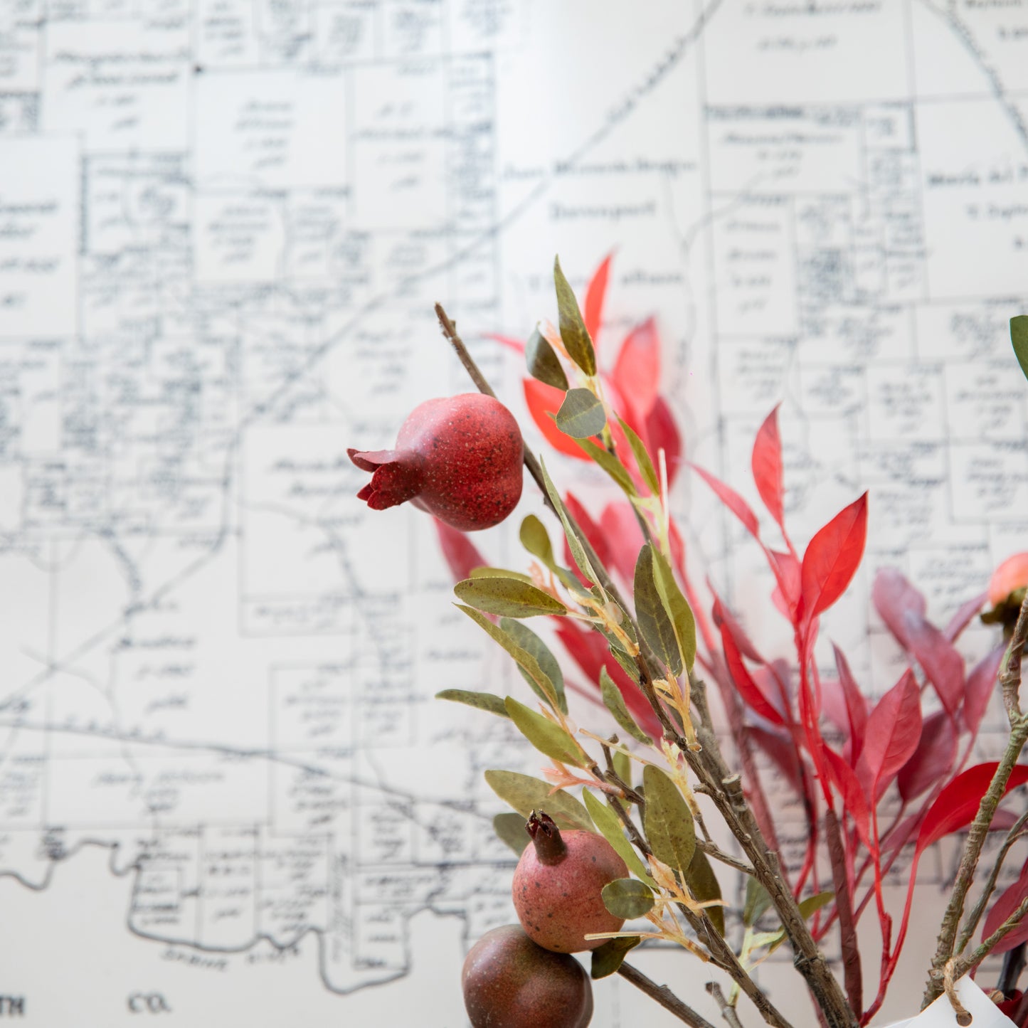 Crimson Bay Leaf Branch