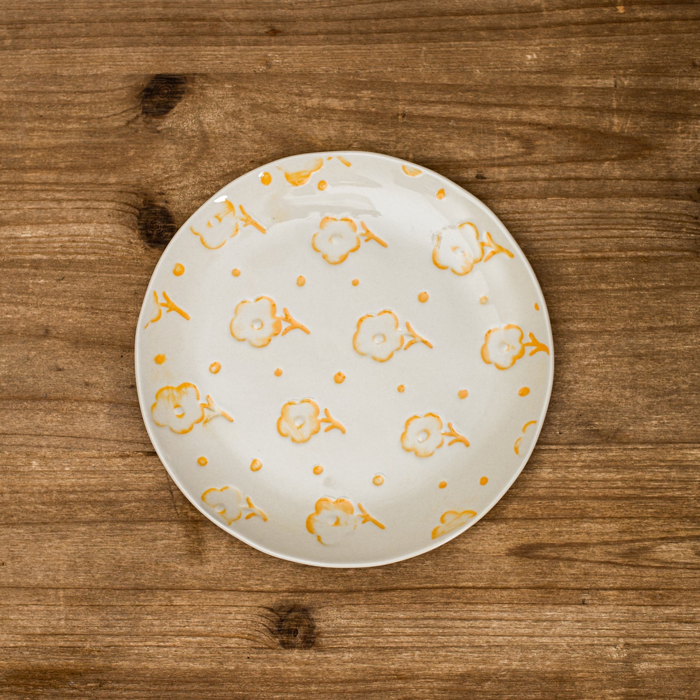 Primary Stoneware Plates