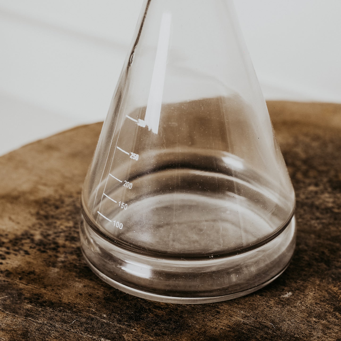 Glass Beaker Vase Trio