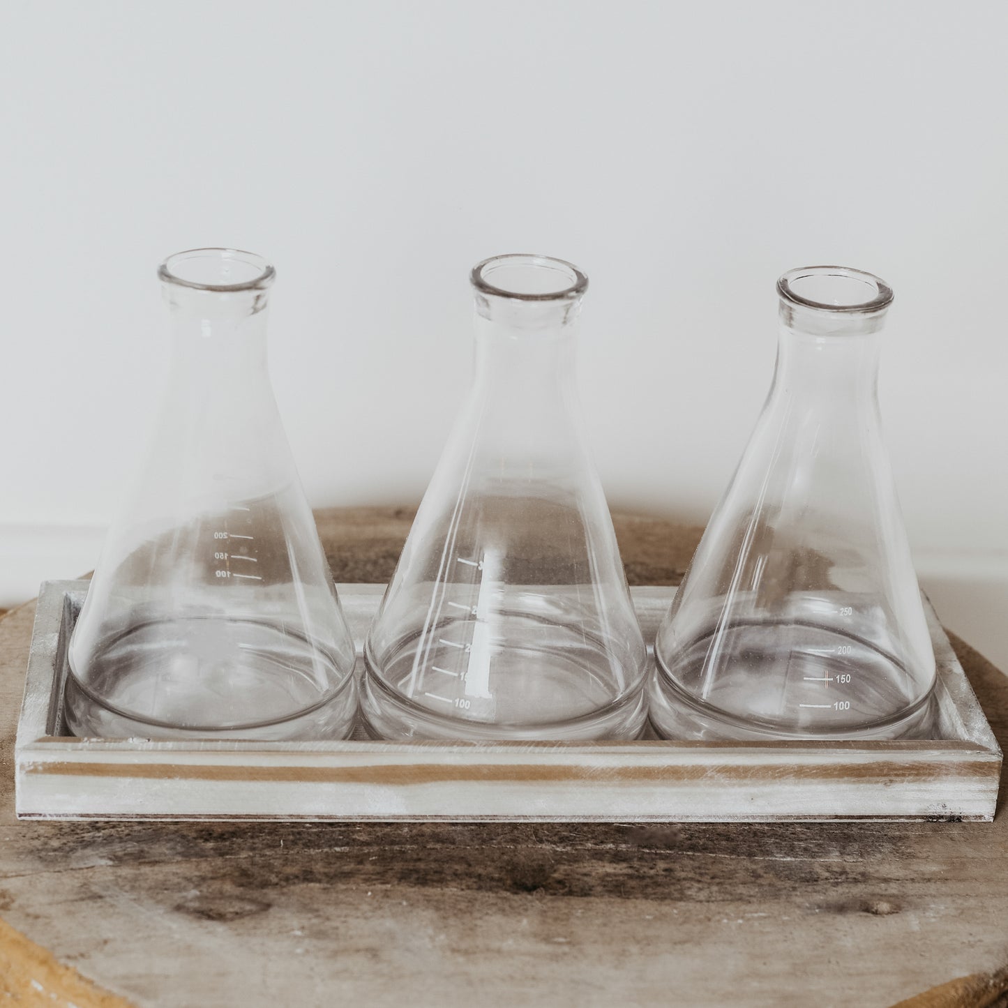 Glass Beaker Vase Trio