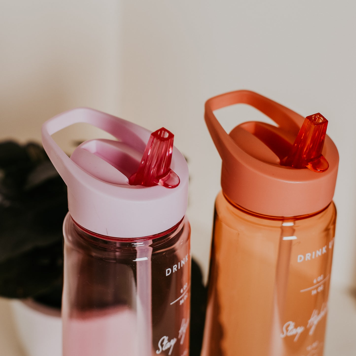 Wellness Water Bottle
