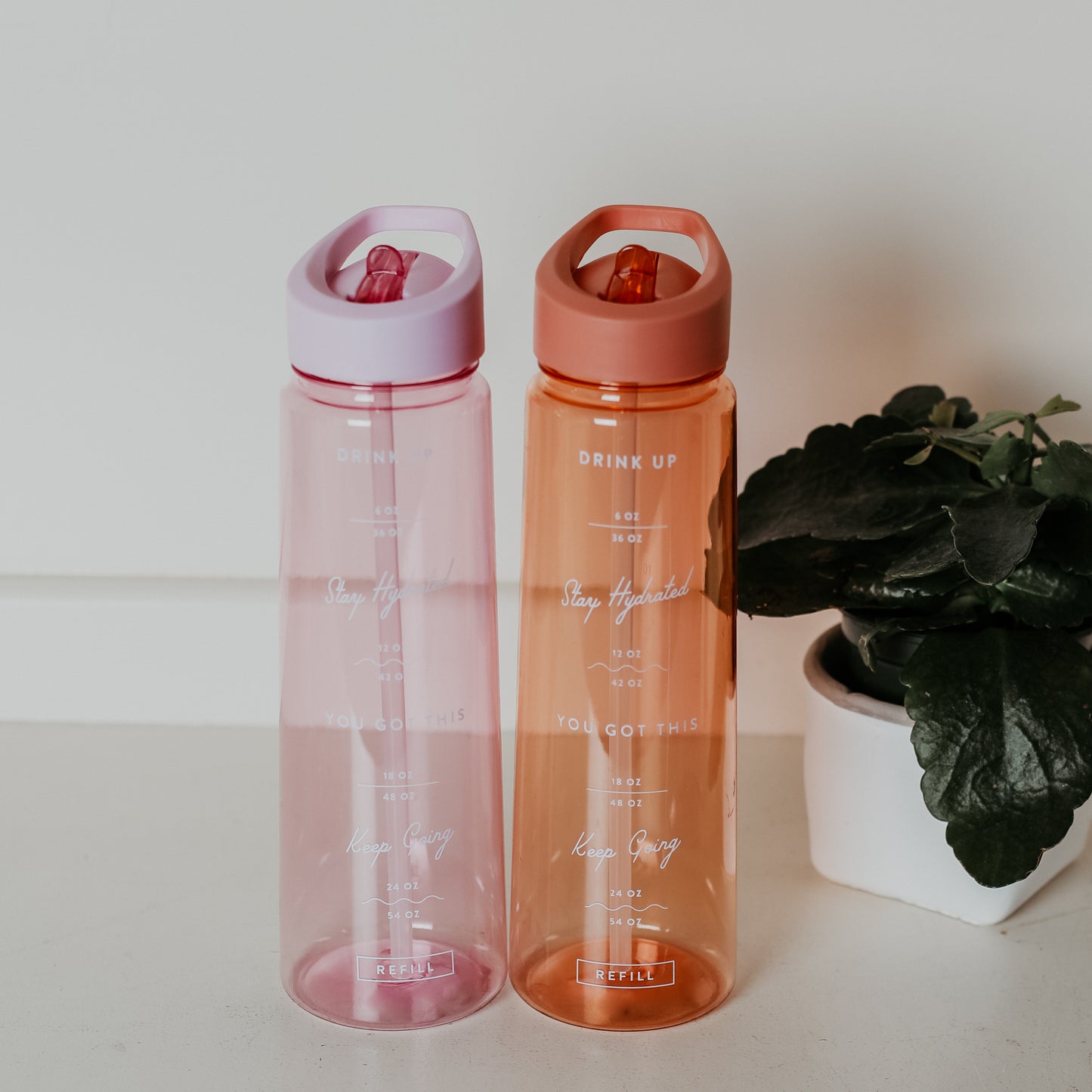 Wellness Water Bottle