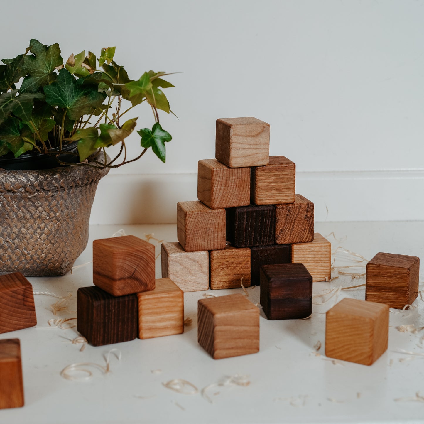 Classic Wooden Blocks for Toddlers - 20pc